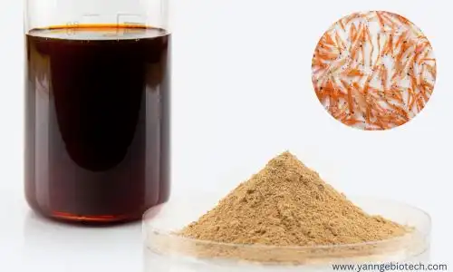 Hydrolyzed Krill Protein: A Sustainable Superfood